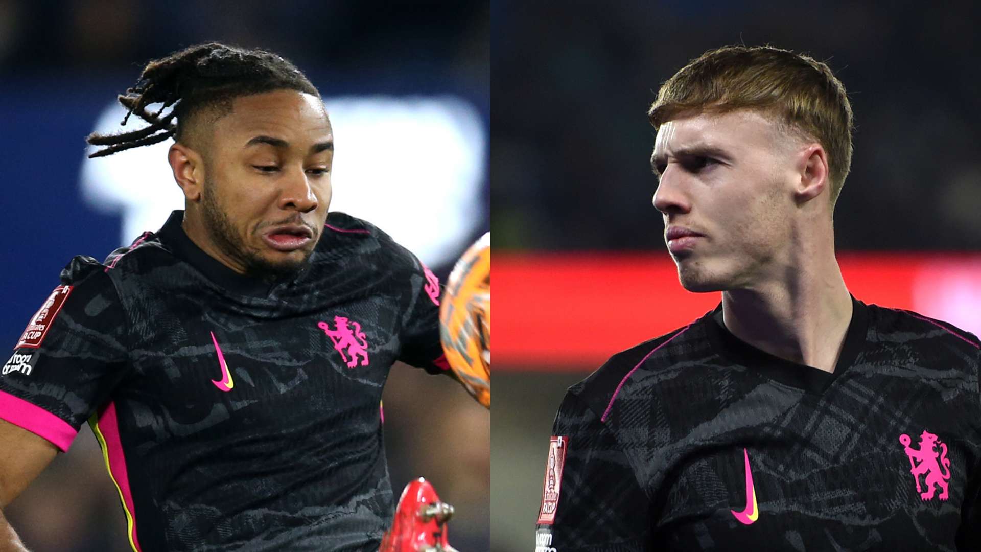 请专业的安 请专业的安