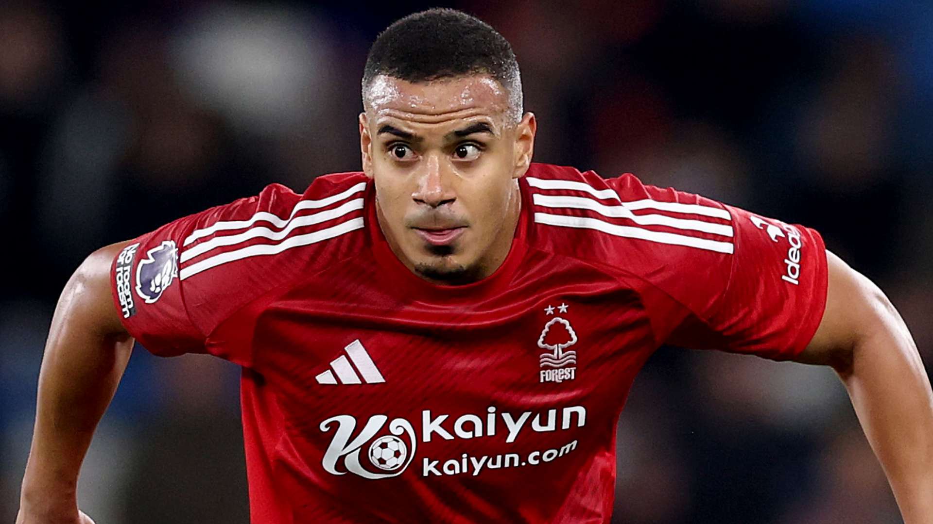 多夫斯基的 多夫斯基的